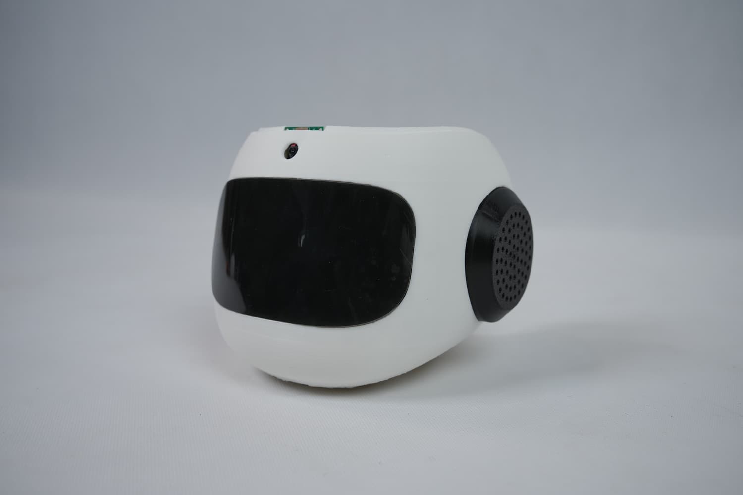 image of head side view